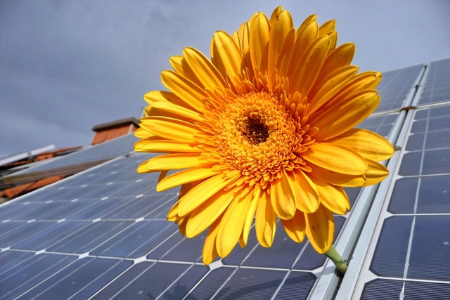 Pannelli fotovoltaici: quanto pesano e perché è importante