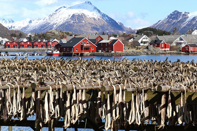 7-le-rastrelliere-sull-isola-di-røst-dove-viene-essicato-lo-stoccafisso-delle-lofoten.jpg