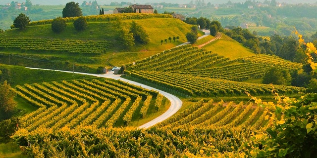 2-le-colline-di-conegliano-valdobbiadene-patrimonio-unesco-con-i-vigneti-docg.jpg