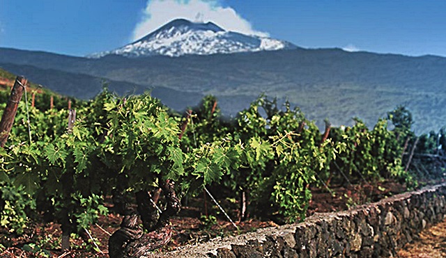 9-le-vigne-centenarie-dell-etna-nerello-mascalese-e-grenache-ai-piedi-del-vulcano.jpg