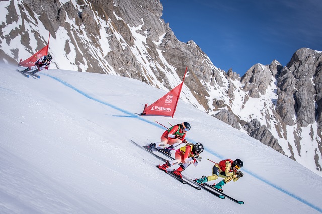 ski-cross-35679.jpg