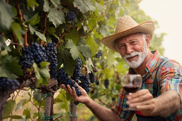 5-contadino-che-vendemmia.jpg