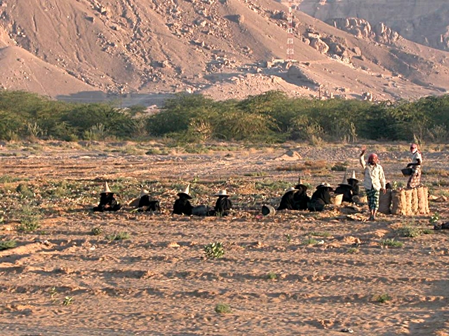 lucchi-yemen-2-3.jpg